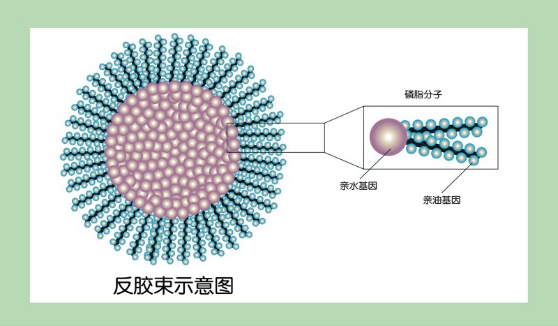 表面活性剂